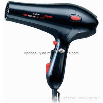 Professional Blow Dryer (5843)